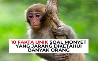 10 Fakta Unik Hewan yang Jarang Diketahui