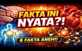 Beberapa Fakta Aneh tapi Nyata