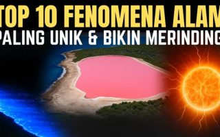 Fakta Unik Dunia yang Bikin Takjub