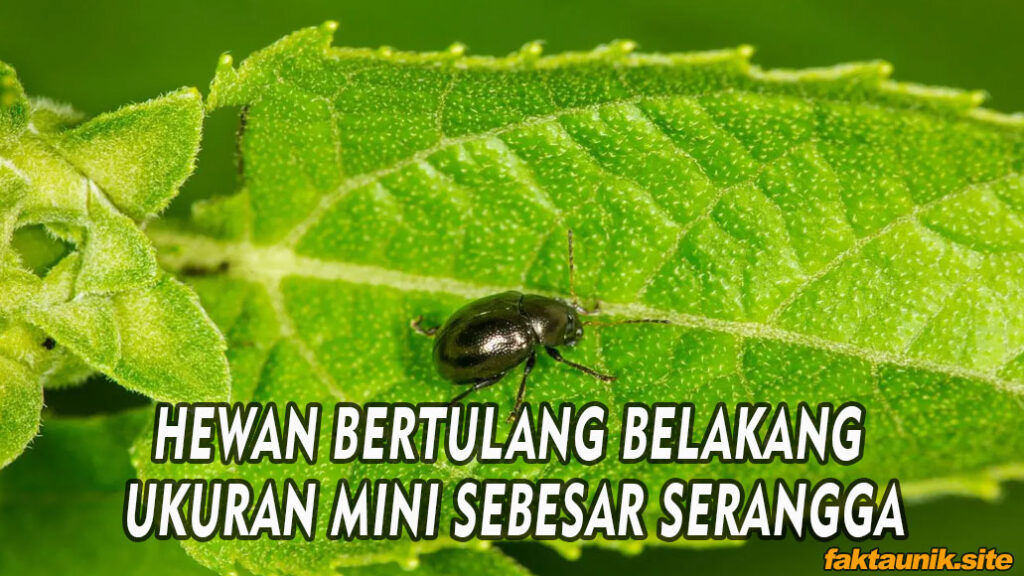 HEWAN BERTULANG BELAKANG UKURAN MINI SEBESAR SERANGGA